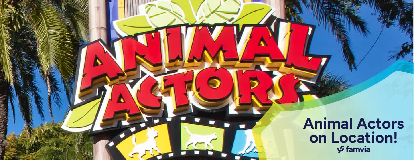 Animal Actors on Location!