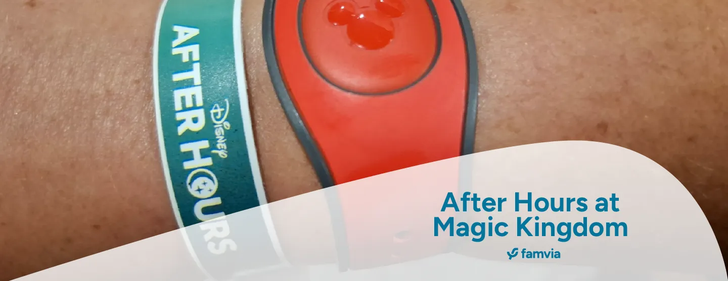 After Hours at Magic Kingdom