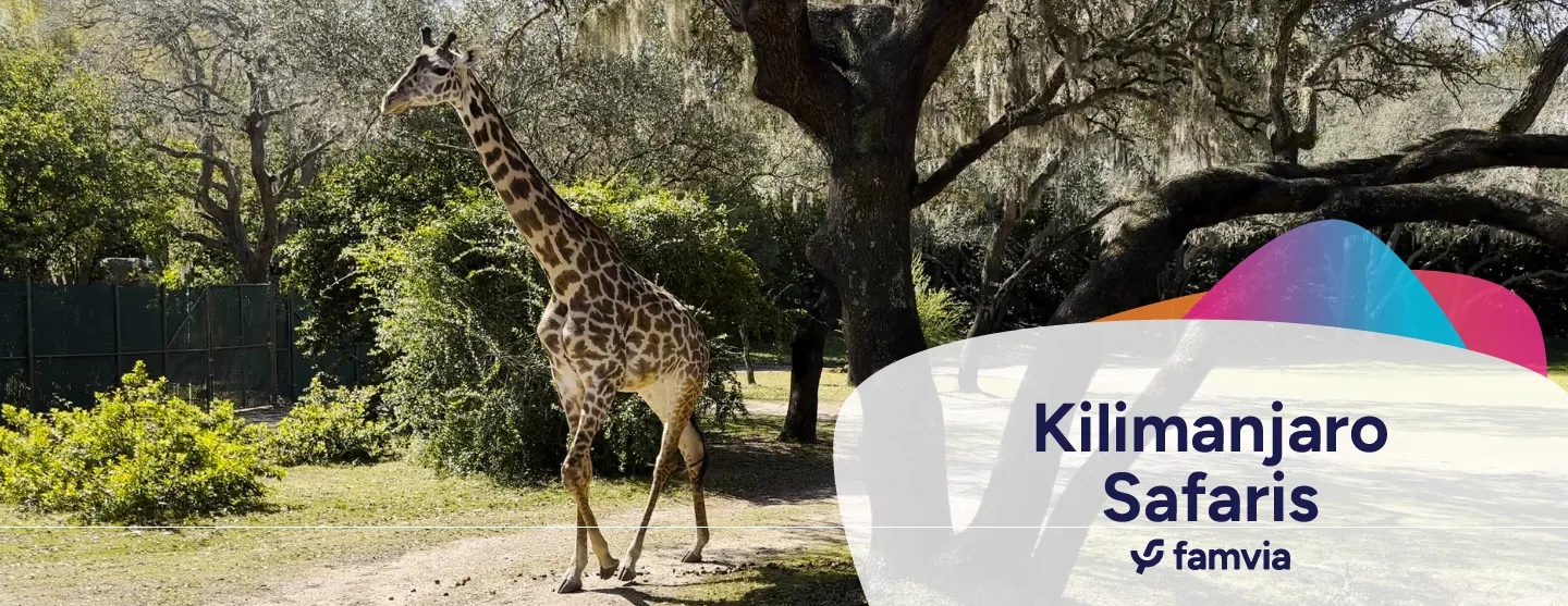 Kilimanjaro Safaris