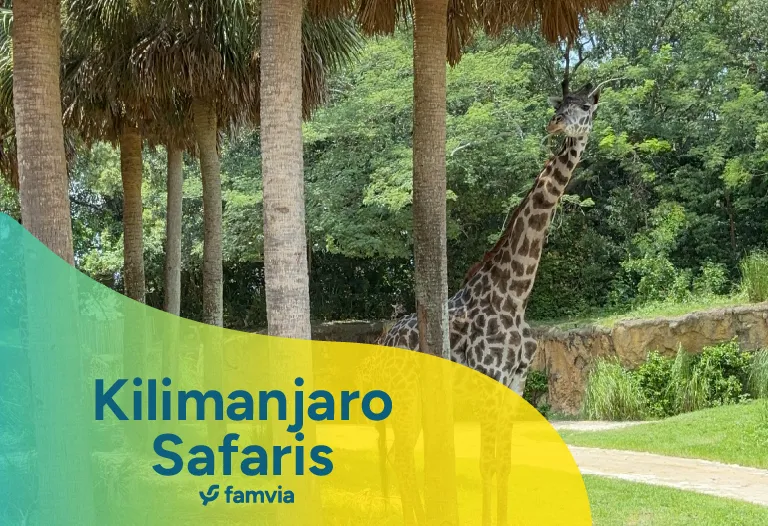 Kilimanjaro Safaris