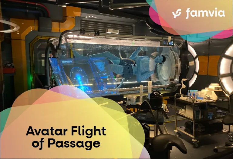 Avatar Flight of Passage