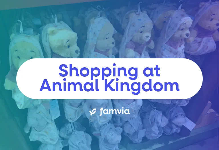 Shopping at Animal Kingdom