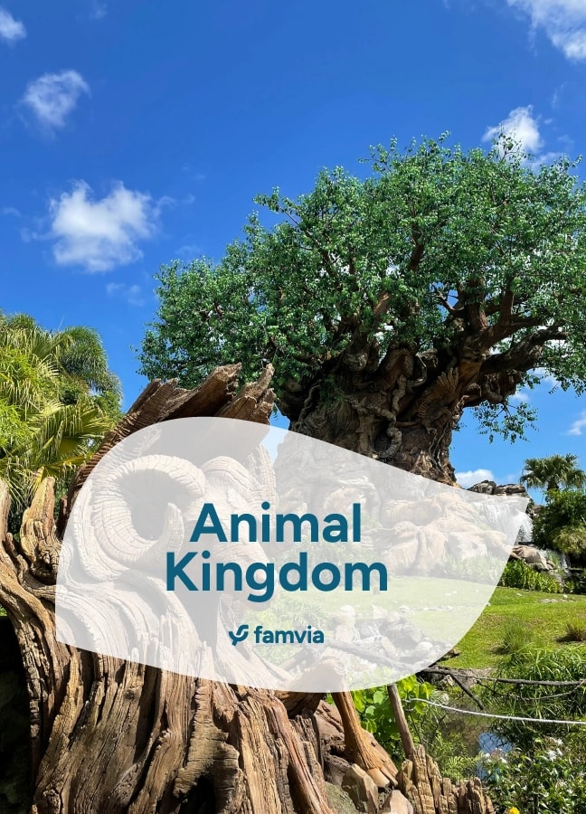 Animal Kingdom
