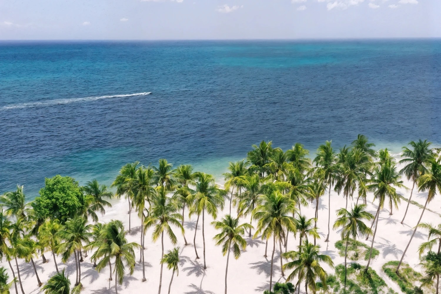 Hyatt Vivid Dominican Republic