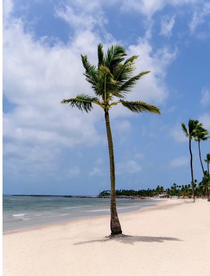 Hyatt Vivid Dominican Republic