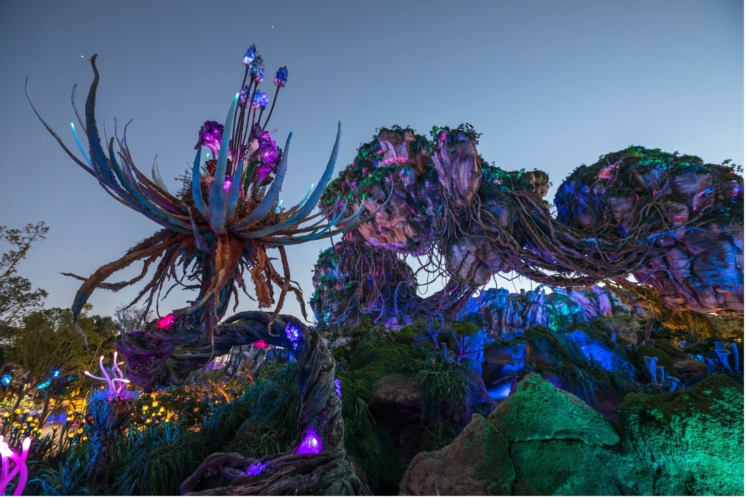 Walt Disney World
