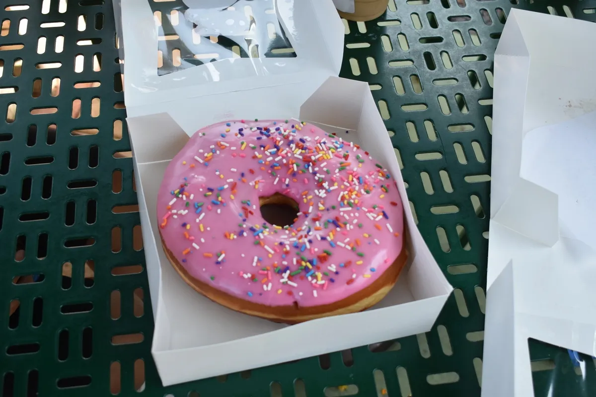 Universal_Studios_Hollywood_The_Big_Pink_donut_445bdd9226.webp