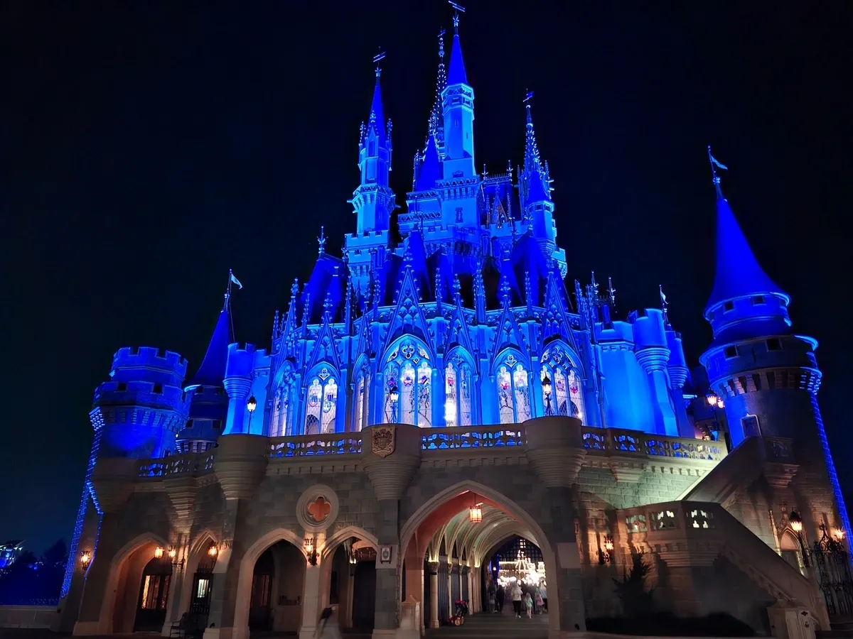 magic_Kingdom_night_castle_atmosphere_6224727d88.webp